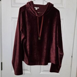 Bergundy Velvet Hoodie